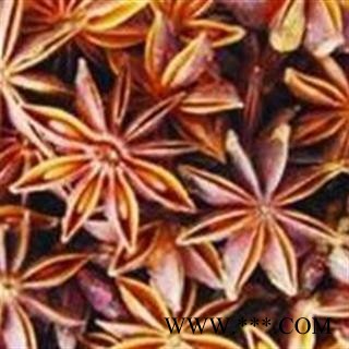 八角 八角 大茴香 产地 广西壮族自治区图1