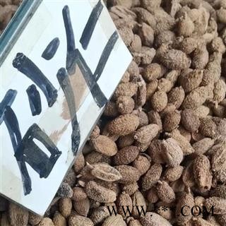 砂仁 选 产地 海外图2