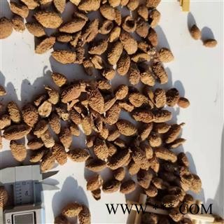 砂仁 选 产地 海外图3