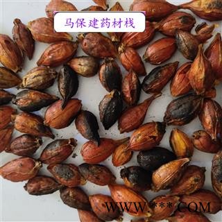 栀子 江西红栀子统个 产地 江西省图2