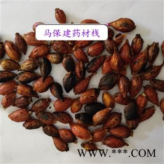 栀子 江西红栀子统个 产地 江西省图1