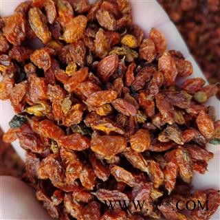 沙棘1000克促销批发价 大统 产地 新疆维吾尔自治区哈密地区巴里坤哈萨克自治县 大货批发价图3