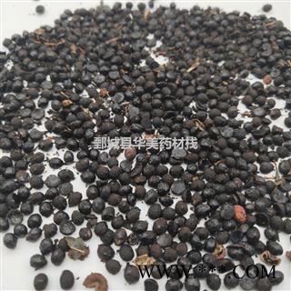 椒目 椒目统货 椒目@【至臻华美】中药材批发供应【椒目】花椒籽 椒目图3