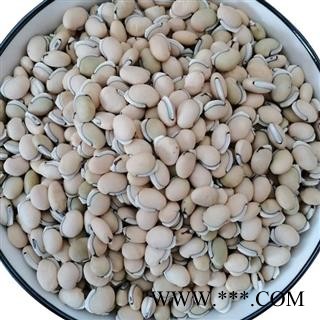 小丽百草行白扁豆符合药典长8-13mm宽6-9mm厚7mm新货量大从优可供饮片厂药厂图2