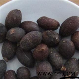 葵树子 葵扇子 葵树籽 蒲葵子图1