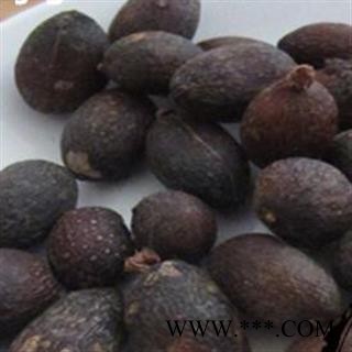 葵树子 葵扇子 葵树籽 蒲葵子图2