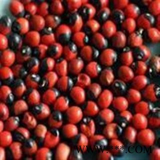 小丽百草行 相思豆 人头参 红豆图2