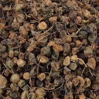 吉康药业龙葵龙葵果 干龙葵子 龙葵籽 天茄子 苦葵籽图2