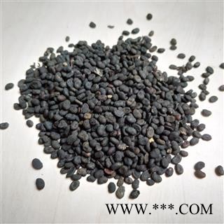 补骨脂 补骨脂饱满统货 产地 云南省图2