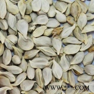 橘核 椪柑核统货 产地 四川省图2