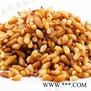 柏子仁 柏子仁精选货 产地 山东省图3