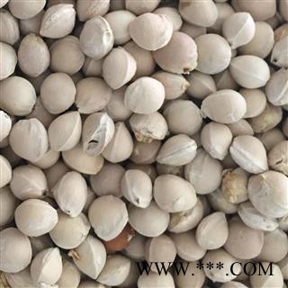 小丽百草行樱桃核 樱桃子 车厘子图2