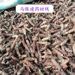 夏枯球 夏枯球净货 产地 山西省图2