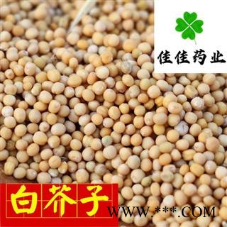 白芥子 选装 实物图 产地直销 产地 四川省图2