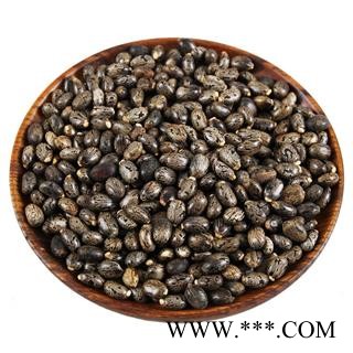 中药材 大麻子蓖麻子蓖麻籽种子蓖麻仁图4