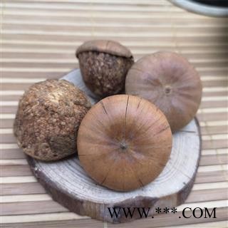 风流果 天竺粒 泡酒料 龟头子图3