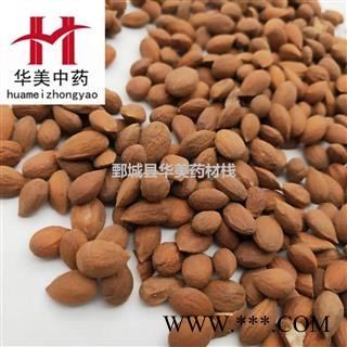 郁李仁 郁李仁统货 产地 甘肃省 华美中药图1