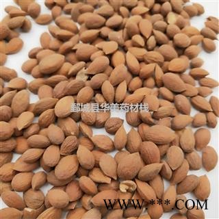 郁李仁 郁李仁统货 产地 甘肃省 华美中药图2