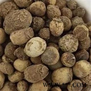 小丽百草行一滴珠 一粒珠、石里开图1