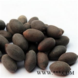 吉康药业甜石莲子 石莲肉 甜石莲 壳莲子 带皮莲子图2