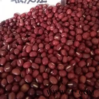 吉康药业红小豆有别于赤小豆大货图2