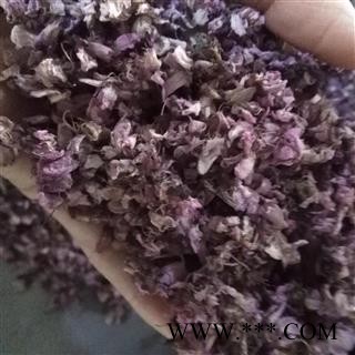 吉康药业樱花 樱花干花今年新货图1