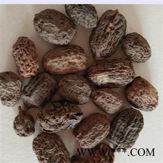 吉康药业木天廖 天蓼、藤天蓼、天蓼木子图2