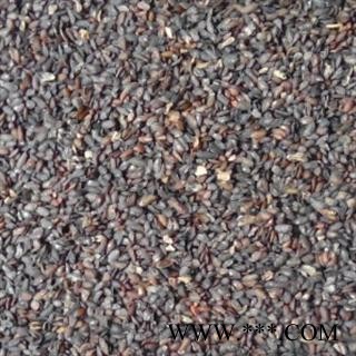 吉康药业车前子 东北车前子水洗货图2