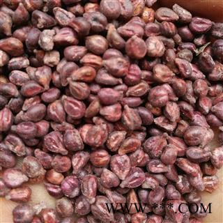 葡萄籽 净货 产地 新疆维吾尔自治区图2