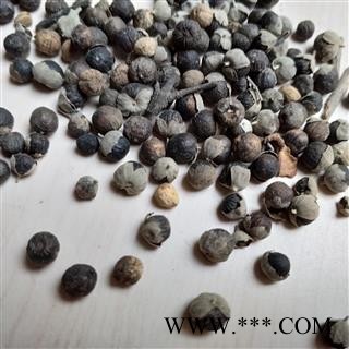 蔓荆子 云南蔓荆子小粒统货 产地 云南省图2