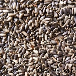 水飞蓟 选货 产地 河北省图2