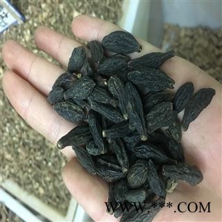 西青果 青果2021 统货 产地 广西壮族自治区玉林市兴业县图2