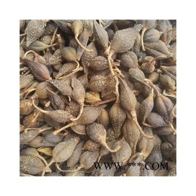 连翘 水煮（汽蒸）好统货 一手货源 产地直销  过筛无籽 产地 山东省