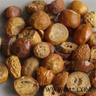 小丽百草行 川楝子 仁枣、苦楝子、川楝实 金铃子图2