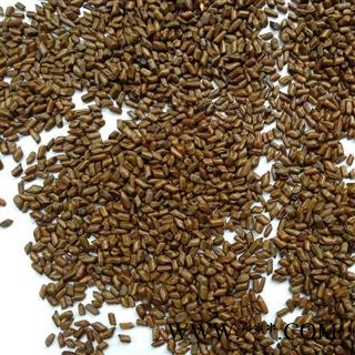 决明子@【华美中药】中药材批发供应【决明子】图2