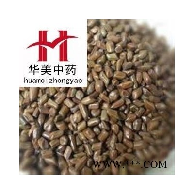 决明子@【华美中药】中药材批发供应【决明子】