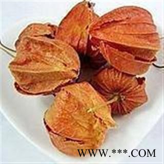 吉康药业 锦灯笼 挂金灯、灯笼果、红灯笼、姑娘、金姑娘、金灯、姑碾儿如图图2