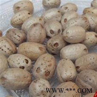 吉康药业广枣 五眼子 五眼果 五眼六通 南酸枣统 产地 海南省图2