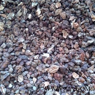 吉康药业益智仁 益智仁米去皮益智子 摘艼子图2