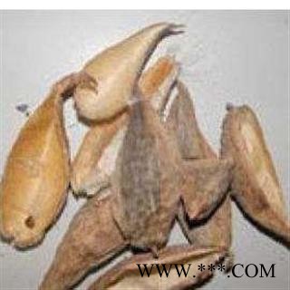 天浆壳 萝摩荚 哈喇瓢 赖瓜瓢 羊角 统货 产地 江苏省图2