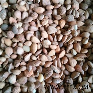 苦杏仁 苦杏仁统货 产地 山西省图1