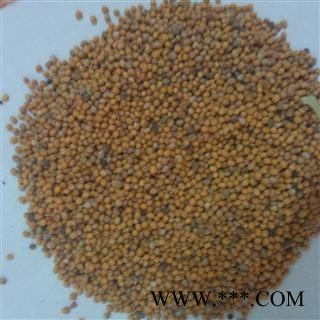 白芥子 选 白芥子 产地 四川 德誉堂药业批发各种中药材图2