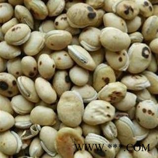 精品白扁豆选货，颗粒饱满产地直销 支持打粉图2