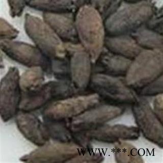 吉康药业母丁香 鸡舌香 雌丁香 厨房调味香料图2