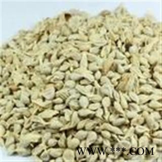 中药材橘核 桔核 橘仁 橘子核图3