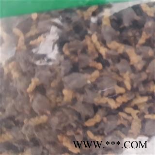 吉康药业侧柏花今年新货图3