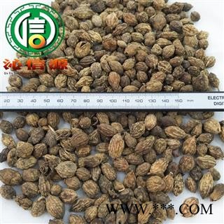 【满包邮】益智仁个子统货散装广西产地直供益智沁信源中药批发图2