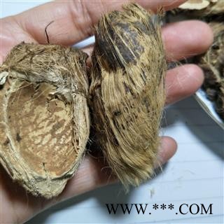 大腹皮 大腹皮新货统货 产地 广西壮族自治区图4