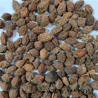 益智 新到正品纯干无硫磺无虫蛀益智仁，干净无杂质实物拍摄 产地 广西壮族自治区图3