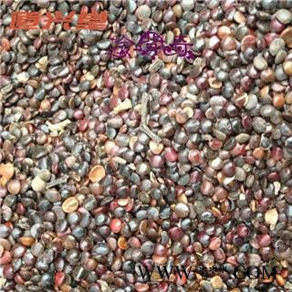 水红花子 水红花子净货 产地 吉林省 批发各种冷背中草药个子图3